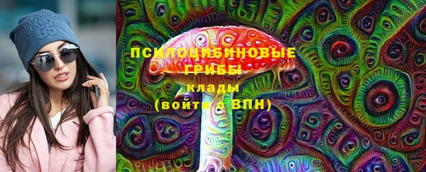 spice Богородск