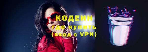 spice Богородск
