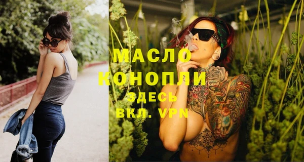 spice Богородск