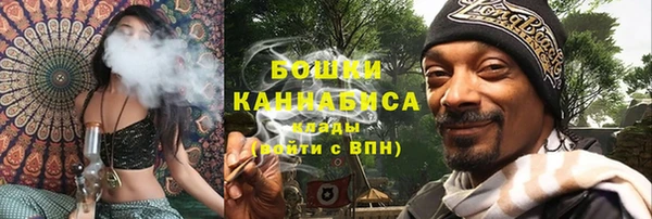 spice Богородск
