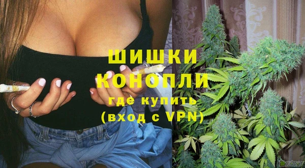 spice Богородск