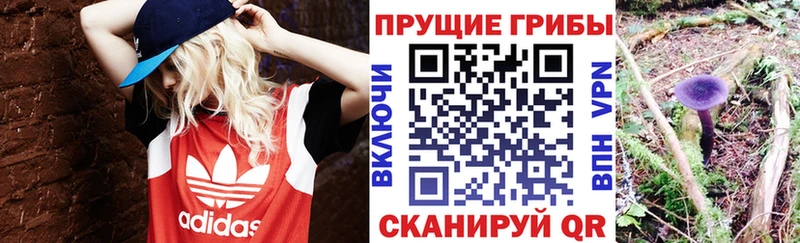 Псилоцибиновые грибы GOLDEN TEACHER гидра сайт Самара